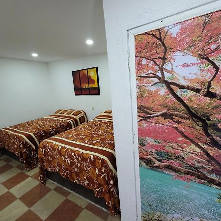 Hotel Vicalis San Juan Teotihuacán エクステリア 写真