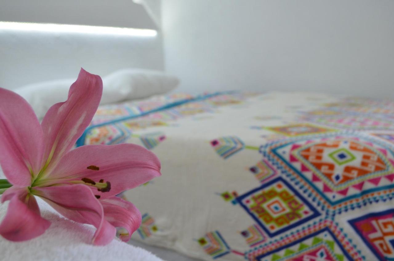 Hotel Vicalis San Juan Teotihuacán エクステリア 写真