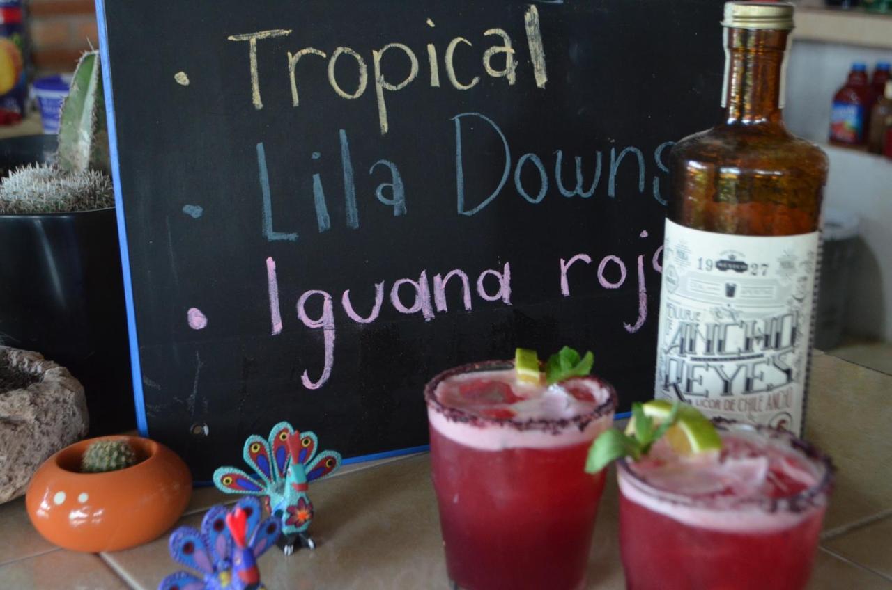 Hotel Vicalis San Juan Teotihuacán エクステリア 写真