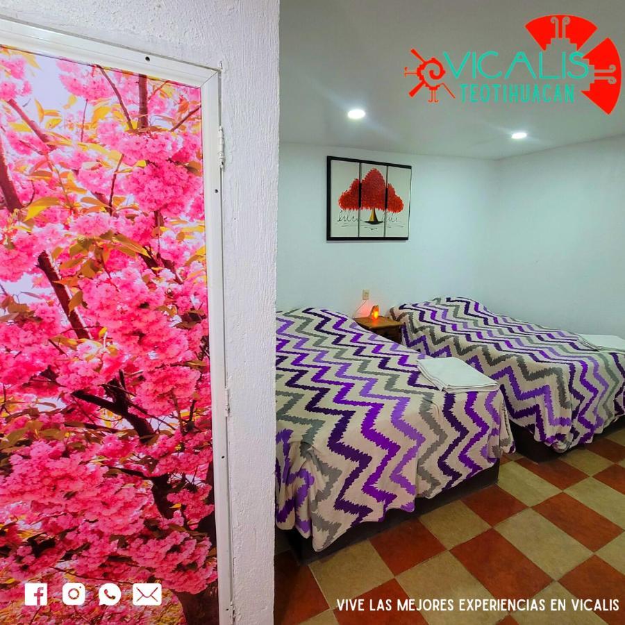 Hotel Vicalis San Juan Teotihuacán エクステリア 写真
