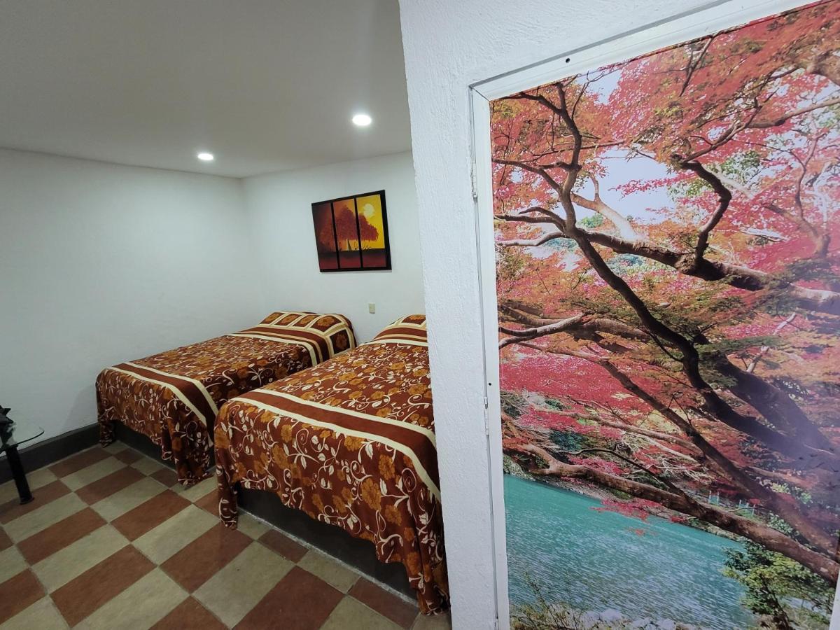 Hotel Vicalis San Juan Teotihuacán エクステリア 写真